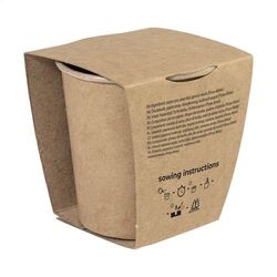 Set De Culture Pour Sapin De Noël MerryGrow