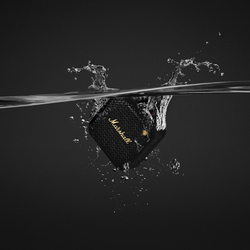 Marshall Enceinte Willen II
