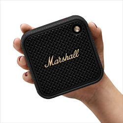 Marshall Enceinte Willen II