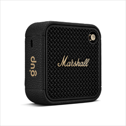 Marshall Enceinte Willen II