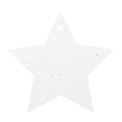 Déco de Noël 250g recto
