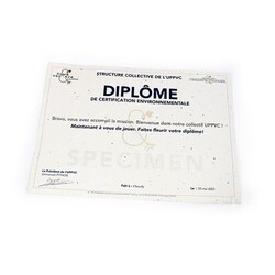 Diplôme A4 papier graines 200g recto