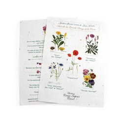 Papier graines A4 250g recto/verso