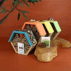 Hôtel à insectes avec pot et graines mellifères