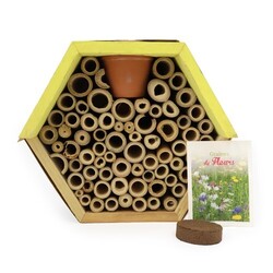 Hôtel à insectes avec pot et graines mellifères