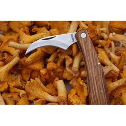 Couteau à champignon