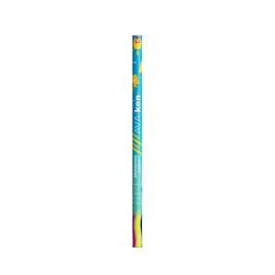 BIC®  Evolution® Classic Cut Ecolutions® crayon