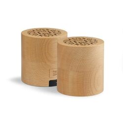 Set de 2 enceintes WOODSTOK