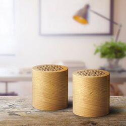 Set de 2 enceintes WOODSTOK