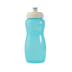 Gourde 600ml ZEBUBIO