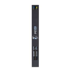 ETUI CARTON BLACK 2 CRAYONS