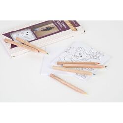 KIT COLORIAGE 12 CRAYONS 8,7