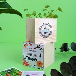 Cube bois Graines