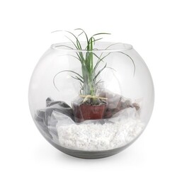 Terrarium DIY Grand modèle