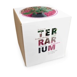 Terrarium DIY Grand modèle