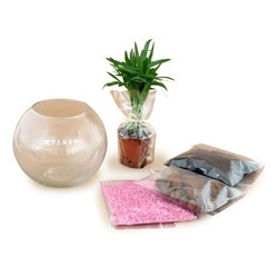 Terrarium DIY Petit modèle