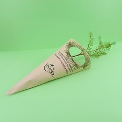 Cornet arbre - Prestiges