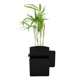Végétal box plante