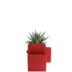 Végétal box plante