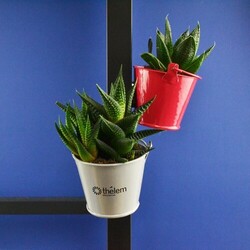 Plante pot zinc aimanté