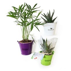 Plante pot zinc aimanté