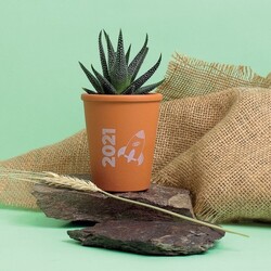 Plante pot terre cuite Ø7 cm