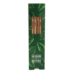 Coffret 6 crayons à graines couleur