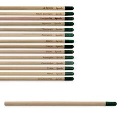 Crayon à graines seul