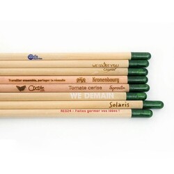 Crayon à graines seul