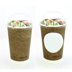 Smoothie graines