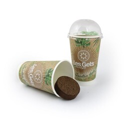 Smoothie graines
