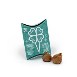 Berlingot Trèfle 4 feuilles