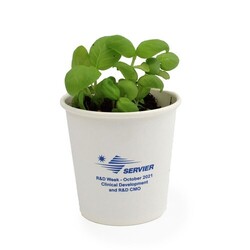 Kit plantation Pot Carton