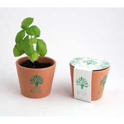Kit plantation pot ceramique Ø7 cm