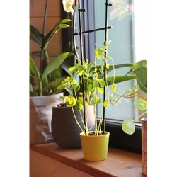 Kit plantation pot ceramique Ø7 cm