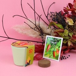 Kit plantation pot ceramique Ø7 cm