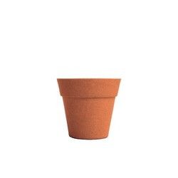 Kit plantation Pot Bambou
