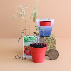 Kit plantation Pot Bambou
