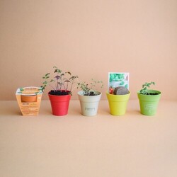 Kit plantation Pot Bambou