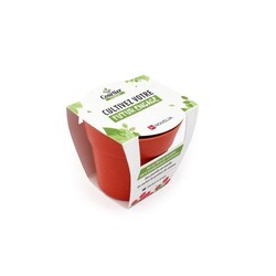 Kit plantation Pot Bambou