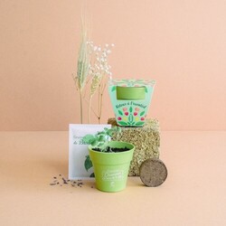 Kit plantation Pot Bambou
