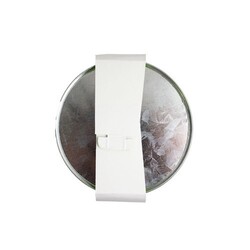 Kit plantation pot zinc Ø13 cm