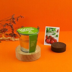 Kit plantation pot zinc Ø8 cm