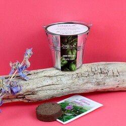 Kit plantation pot zinc Ø7 cm