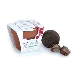 Kit plantation terre cuite Ø6cm