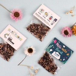 Sachet graines transparent avec cavalier