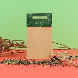 Sachet graines Kraft Standard