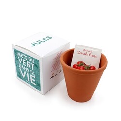 Cube plantation Ø10 cm