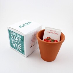 Cube plantation Ø10cm