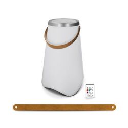 SEAU A BOUTEILLES LUMINEUX & HAUT-PARLEUR ENCEINTE BT5.0 10 W